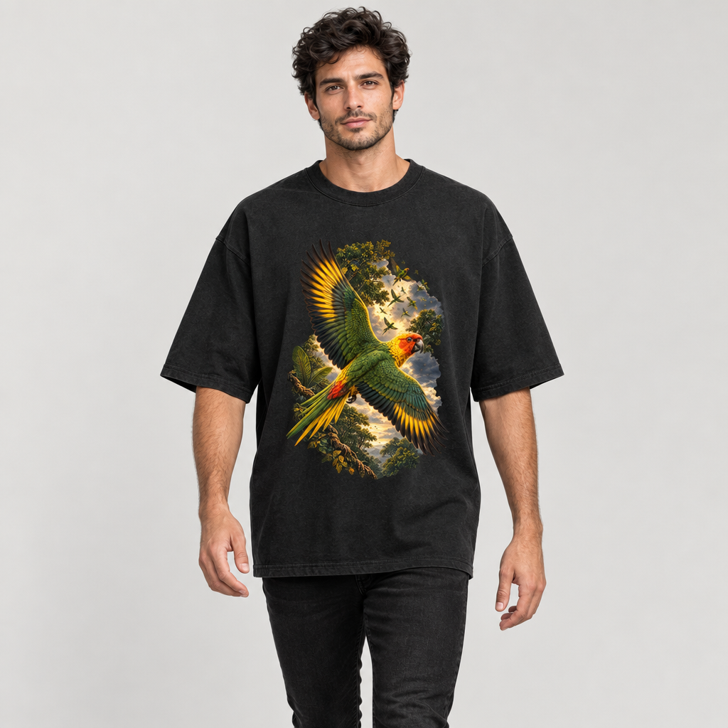 THE PARAKEET | RUITZ OVERSIZED T SHIRT