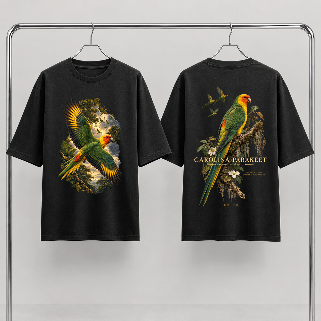 THE PARAKEET | RUITZ OVERSIZED T SHIRT